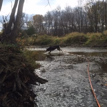 Granville Dog Park photo 1